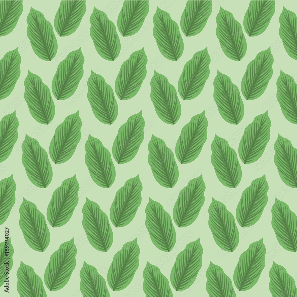 color background pattern green lanceolated leaves vector illustration