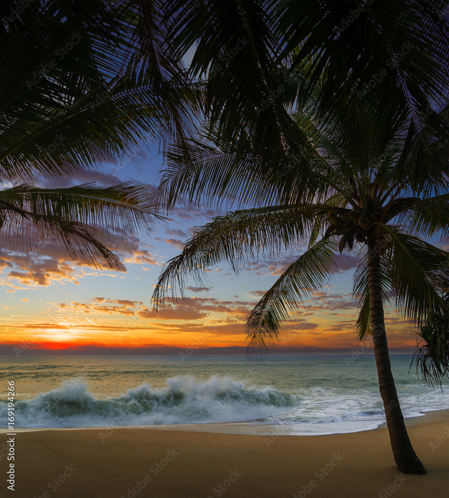 Fototapeta premium Sunset Beach with palm trees and beautiful sky.
