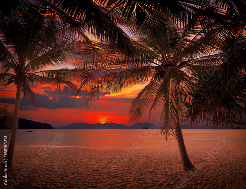 Sunset Beach with palm trees and beautiful sky.