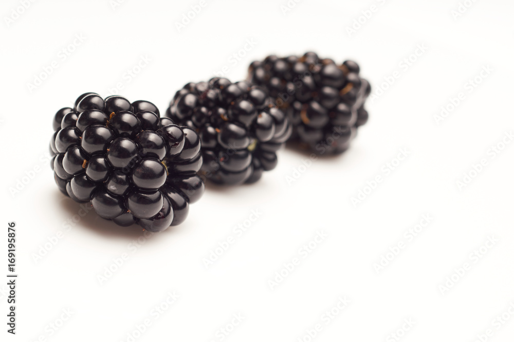 Blackberries on white background Blackberries on white background