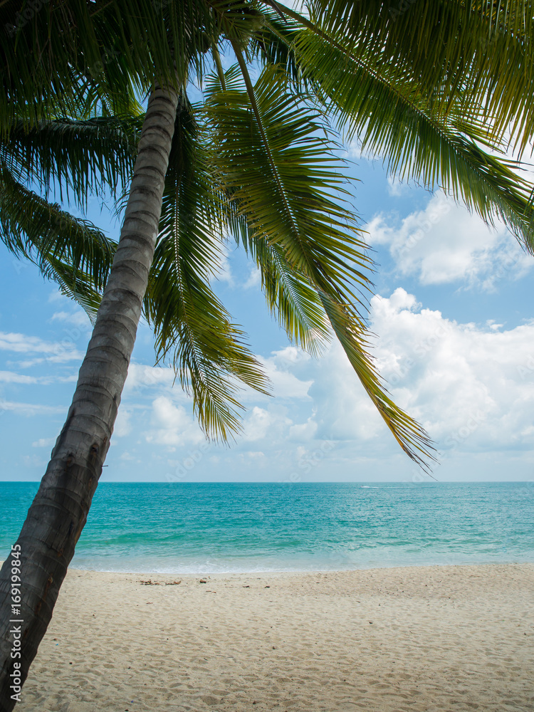 Naklejka premium Beautiful tropical beach