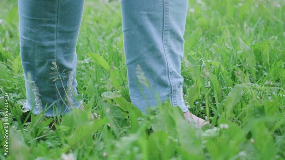 Bare feet of woman making steps on green clover after rain Bare feet of woman making steps on green clover after rain