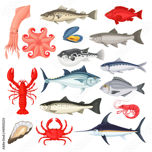 Seafood luxury collection