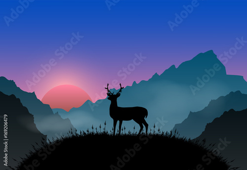 Deer standing on plateau point, nature landscape background