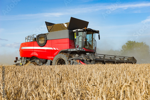 Combine harvester on the grain field - 6717