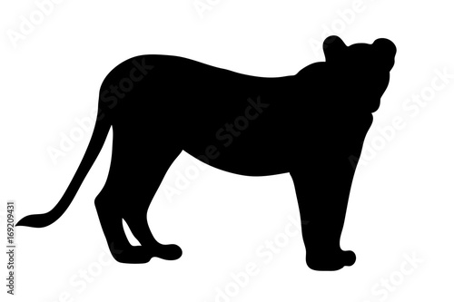 View on the silhouette of a female lion - digitally hand drawn vector illustraion