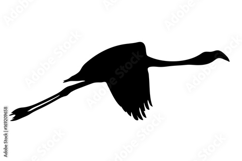 View on the silhouette of a flamingo - digitally hand drawn vector illustraion