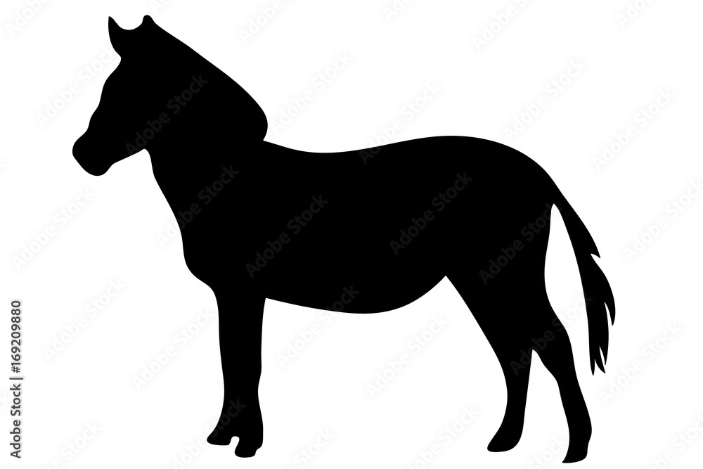 View on the silhouette of a Zebra - digitally hand drawn vector illustraion