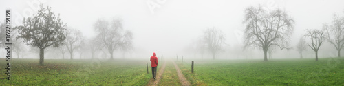 Spaziergang im Nebel 