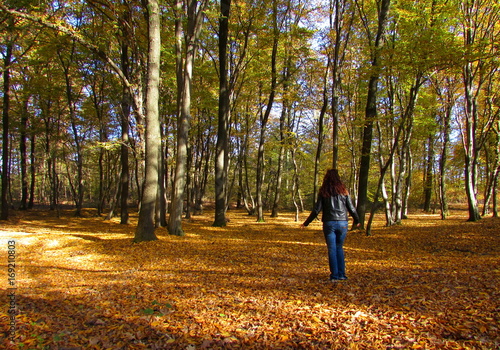 Giovane ragazza che cammina nel parco in autunno