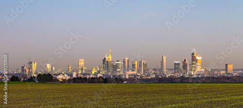 view of Frankfurt skyline with fields in dawn
