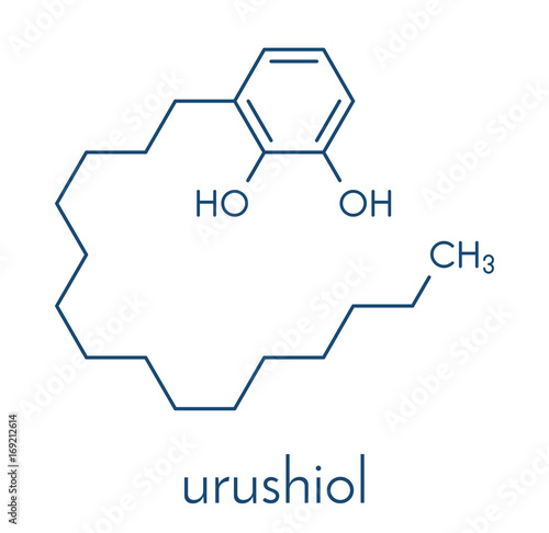 Urushiol poison ivy allergen molecule. Also present in poison oak, lacquer tree and poison sumac. Urushiol is a mixture of closely related components, only one of which is shown. Skeletal formula.