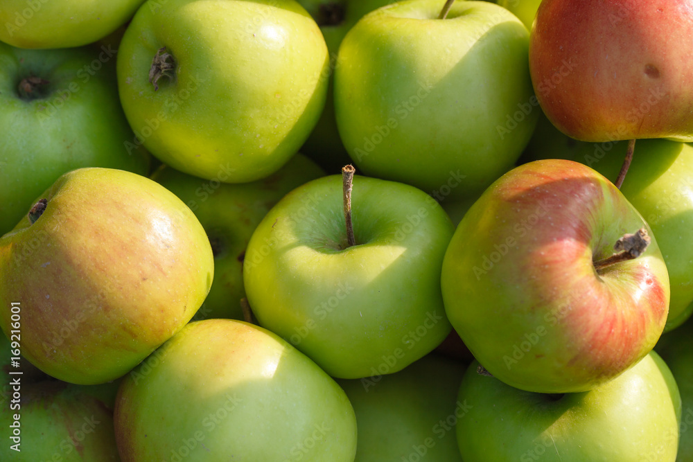 Healthy eating apples from your garden Healthy eating apples from your garden