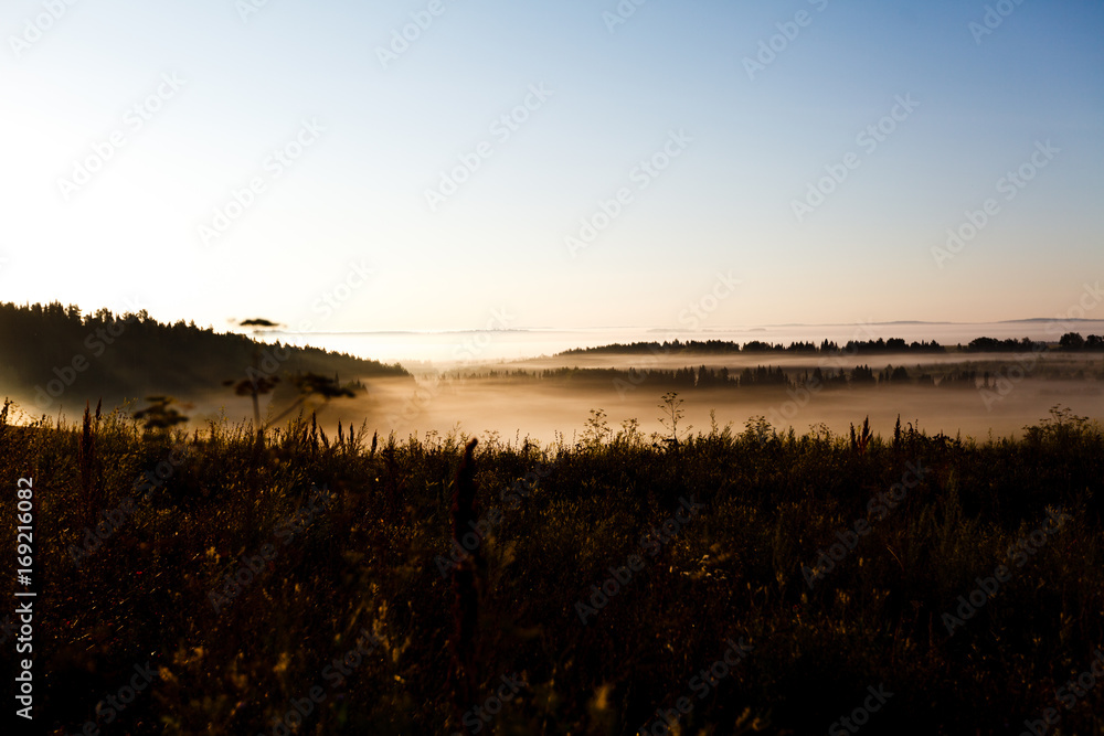 ground with morning mist