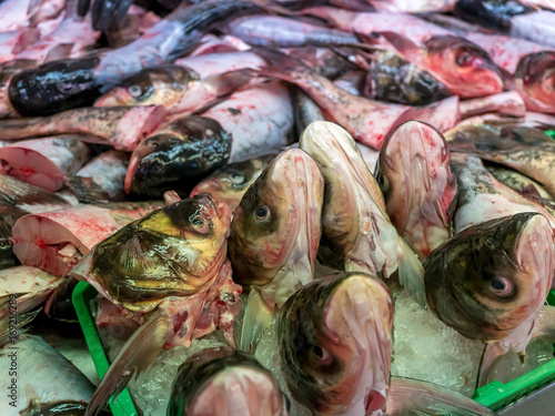Fish Heads at an Indoor Market in Singapore