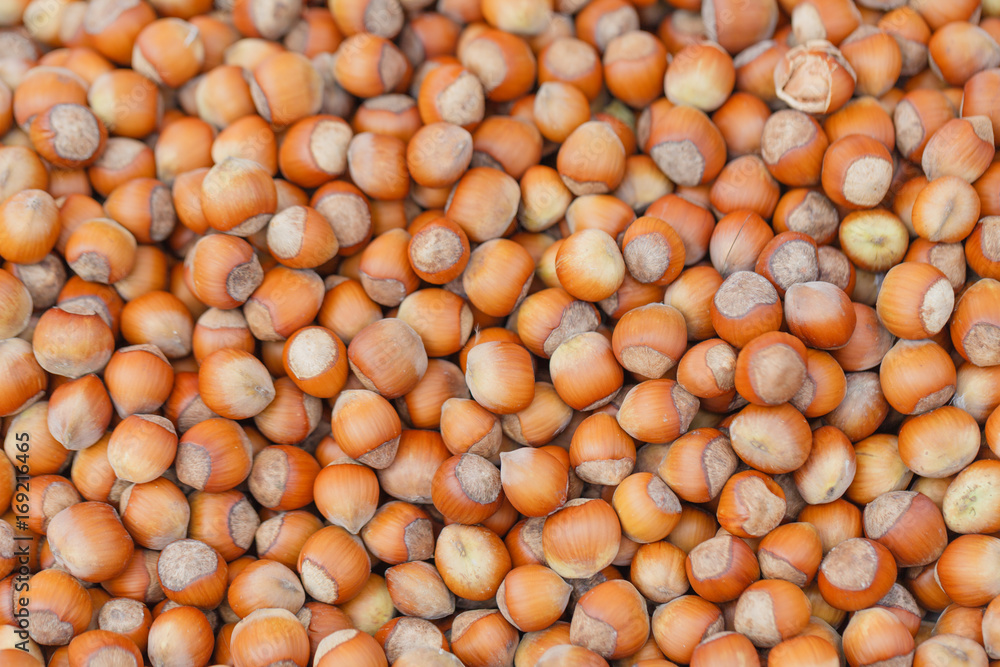 Background hazelnuts, walnuts, lots of nuts
