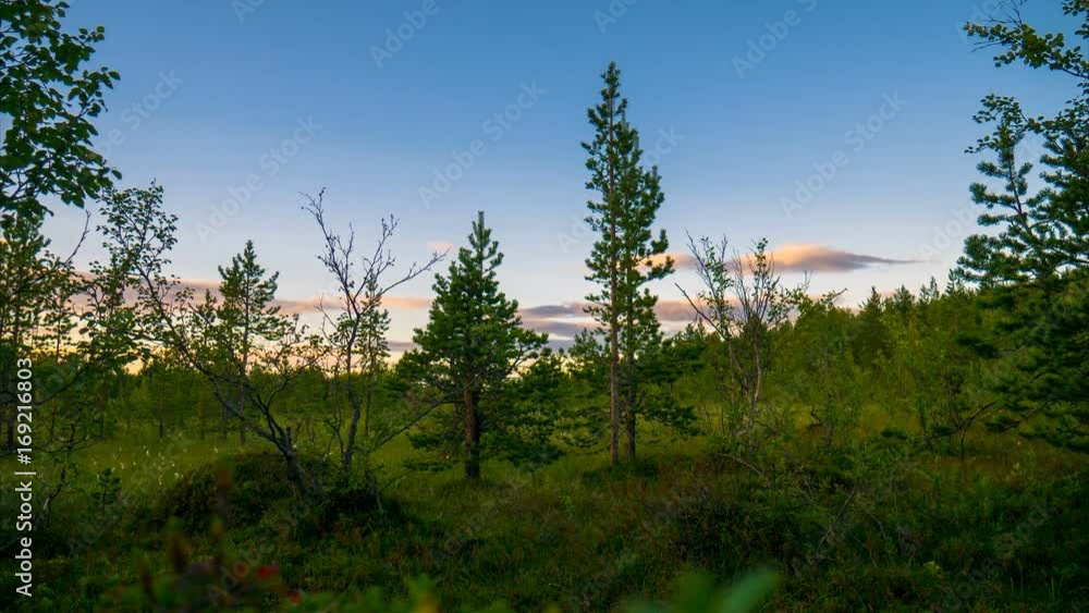 Beautiful Northern nature at sunset in summer.Time lapse Beautiful Northern nature at sunset in summer.Time lapse