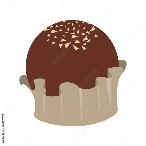 decorated chocolate truffles icon image vector illustration design 