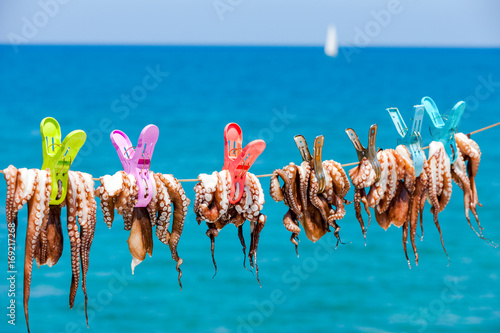 Drying the octopus in the sun in the seaside village of Plaka on the island of Crete