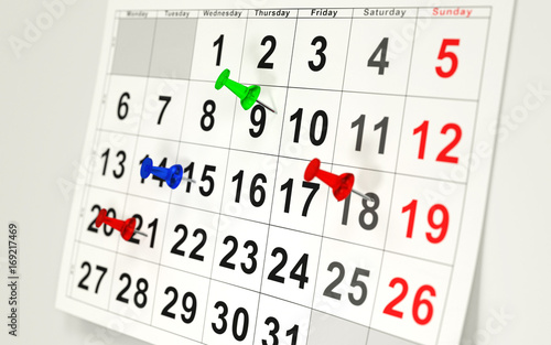 Calendar and pins