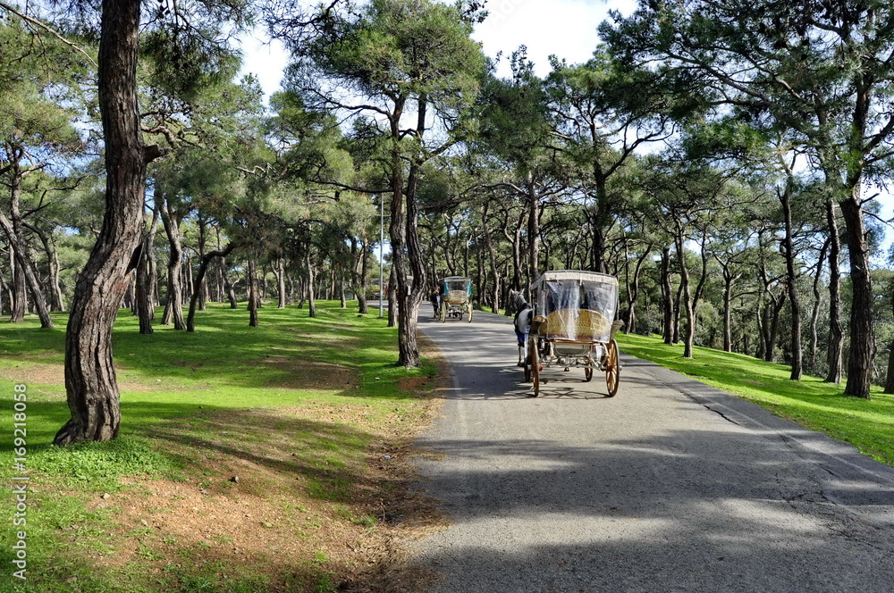 Horse Carriage in Princes Islands, Turkey