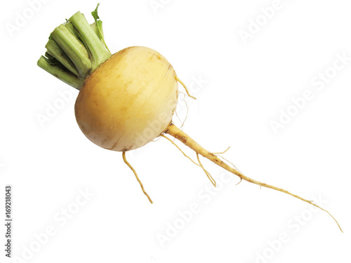 Raw turnip with leaves