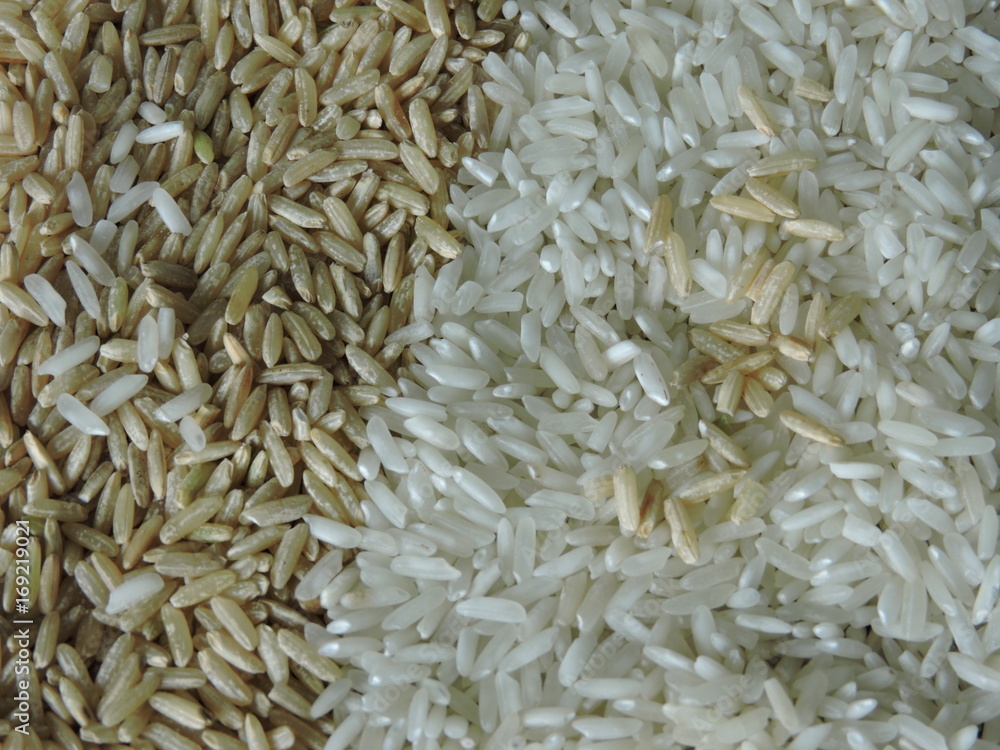 White rice and brown rice. Background