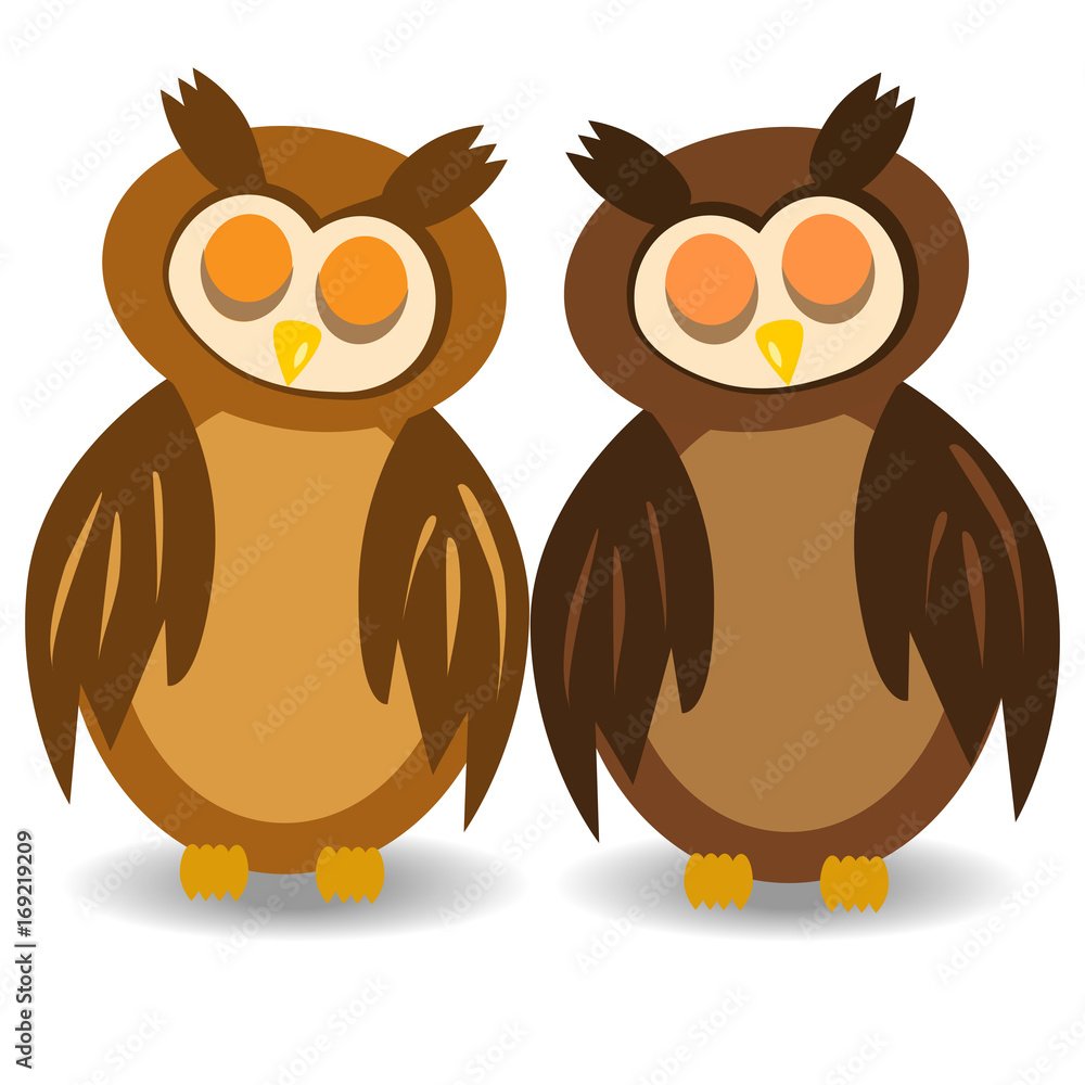 Fototapeta premium Two brown sleeping owls with closed eyes