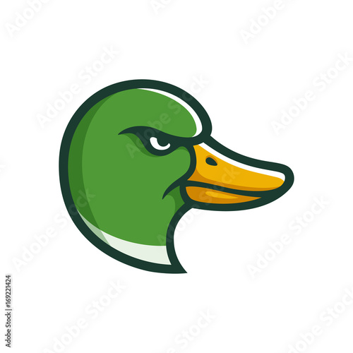 Mallard duck head illustration