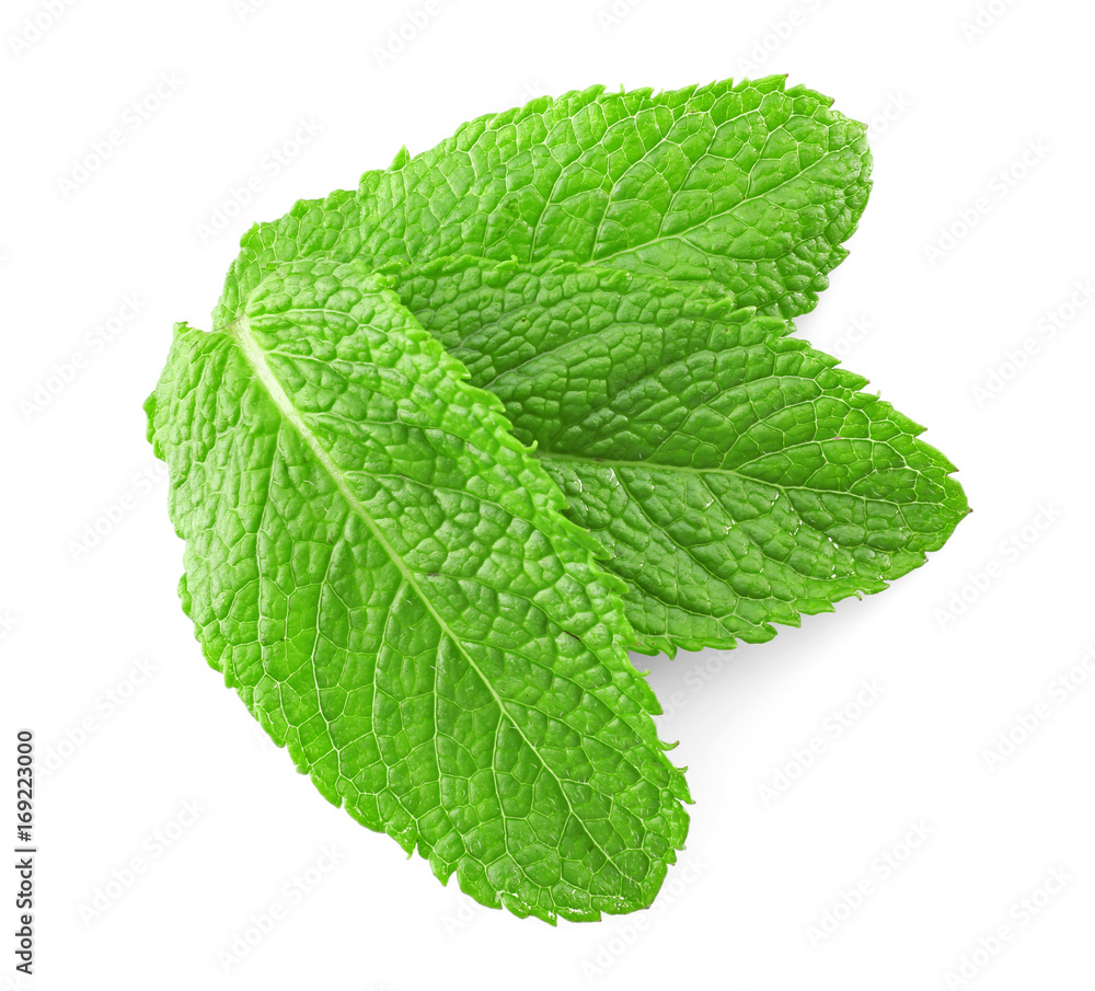 Fresh mint leaves on white background Fresh mint leaves on white background