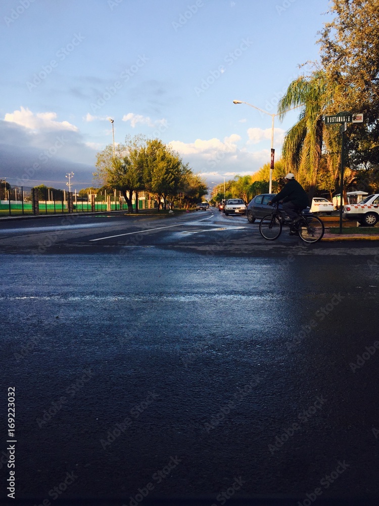 Obraz premium Calle humeda