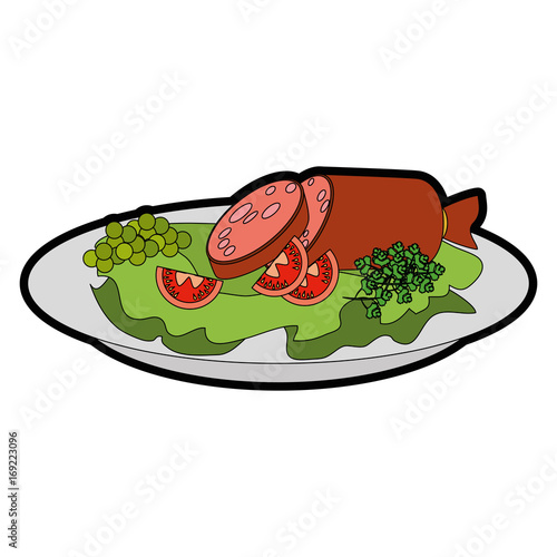 gourmet dish with salami and salad icon over white background vector illustration