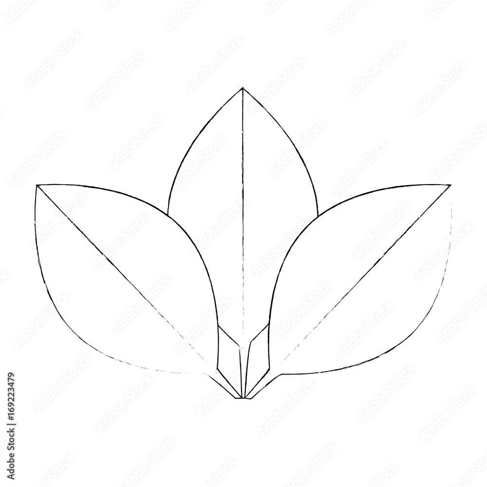 leaves icon over white background vector illustration leaves icon over white background vector illustration