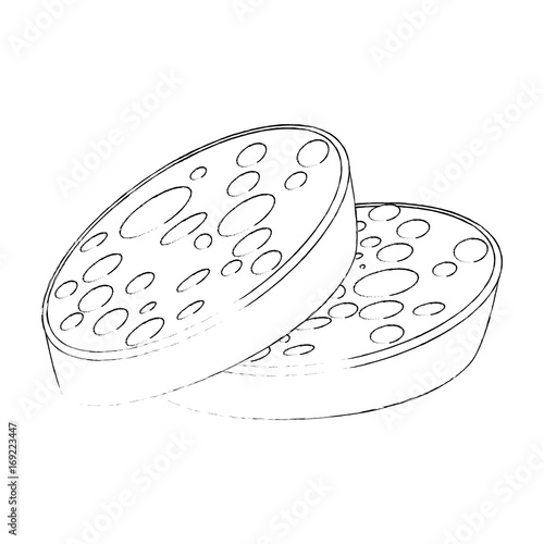 salami icon over white background vector illustration