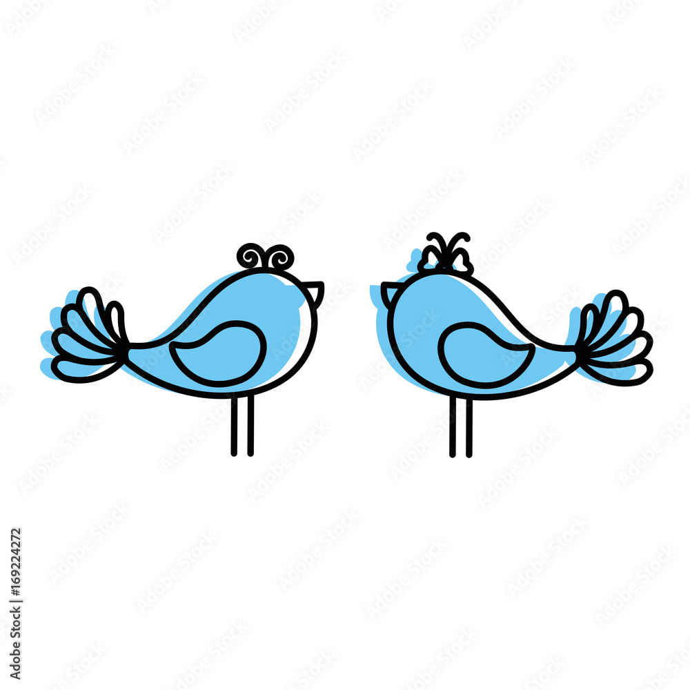 Cute couple of birdies icon vector illustration graphic design Cute couple of birdies icon vector illustration graphic design