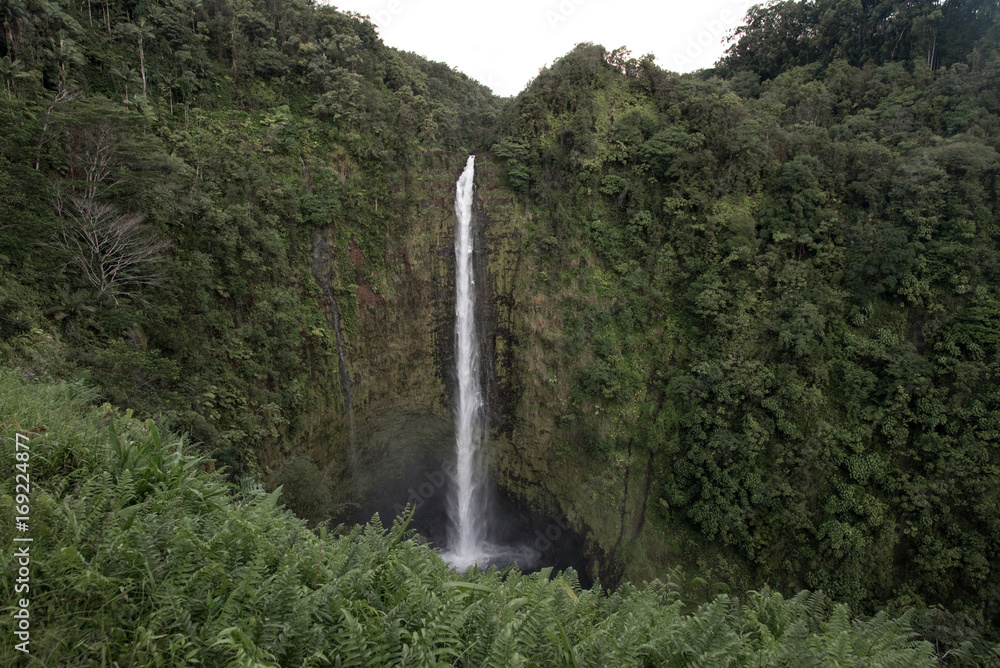 Akaka Falls // Hawaii