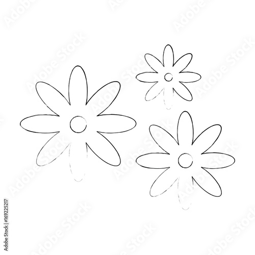 Beautiful flower ornament icon vector illustration graphic design