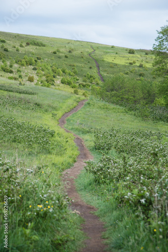 Obraz na płótnie Hiking trail through grassy mountain, Max Patch, North Carolina