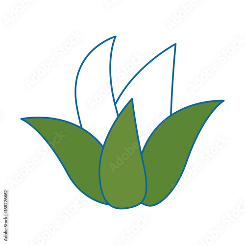 Sweet and delicious pineapple icon vector illustration graphic design