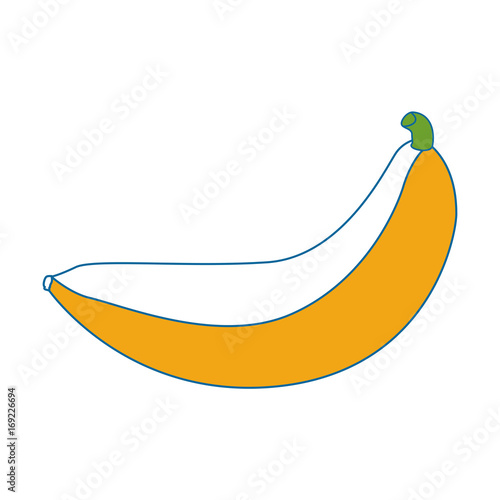 Bananas sweet fruit icon vector illustration graphic design