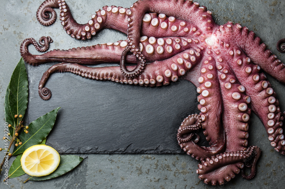 Octopus. Food background with seafood raw fresh octopus, laurel and lemon. copy space, gray slate background. Octopus, laurel and lemon around black slate board. Top view Octopus. Food background with seafood raw fresh octopus, laurel and lemon. copy space, gray slate background. Octopus, laurel and lemon around black slate board. Top view