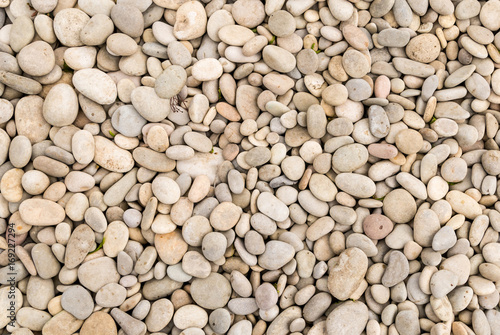 Stone beige smooth river pebble shore water