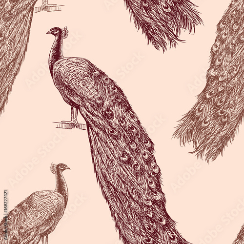 pattern of the drawn peacocks