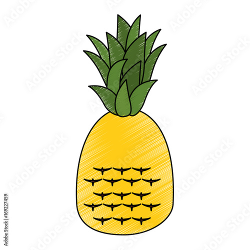 Sweet and delicious pineapple icon vector illustration graphic design