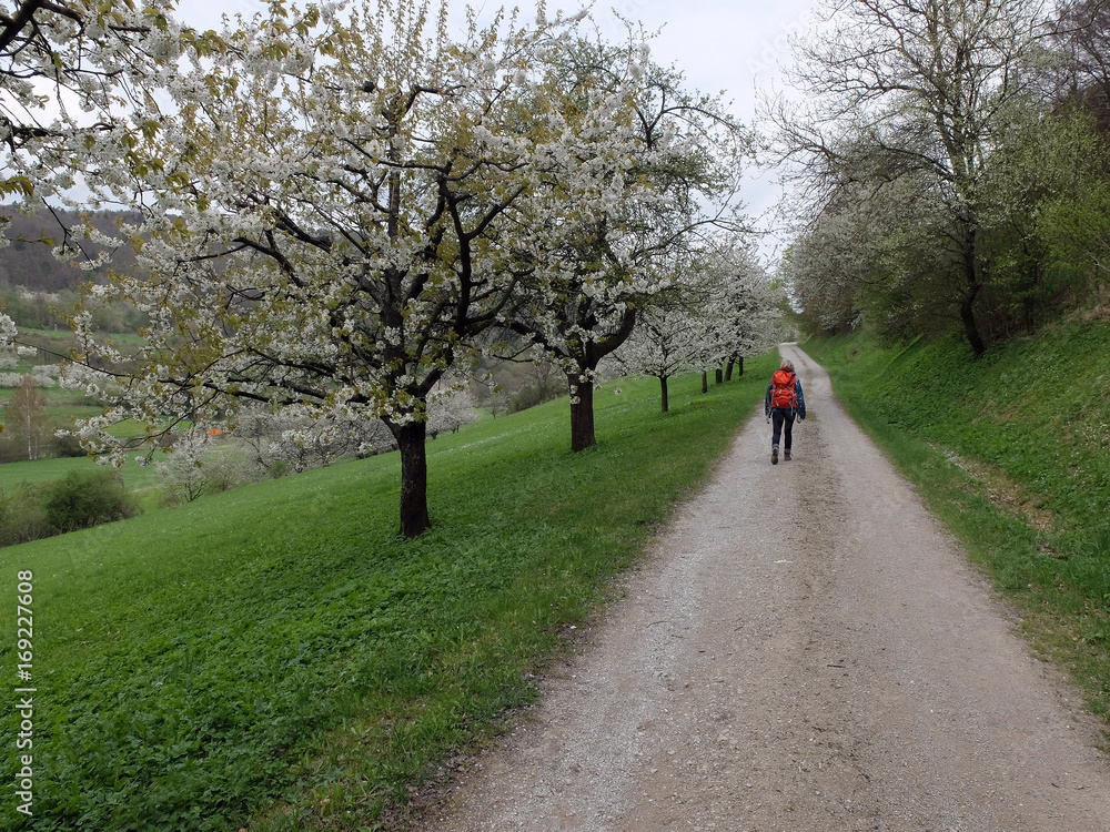 Wandern zwischen Wannbach und Ühleinshof Wandern zwischen Wannbach und Ühleinshof