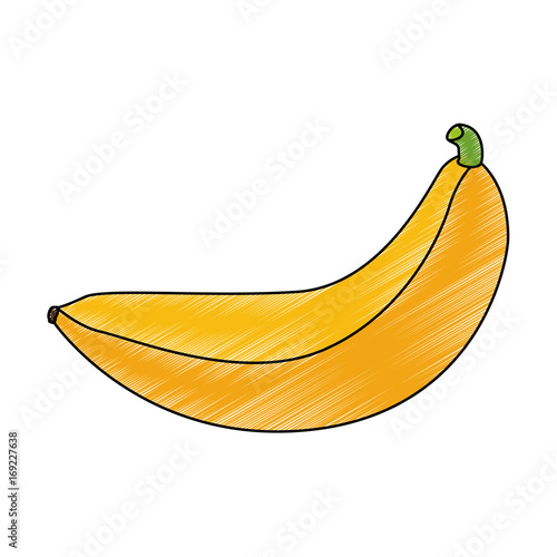Bananas sweet fruit icon vector illustration graphic design