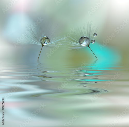 Beautiful flowers reflected in the water, spa concept.Tranquil abstract closeup art photography.Floral fantasy design.Spa still life.Amazing Background.