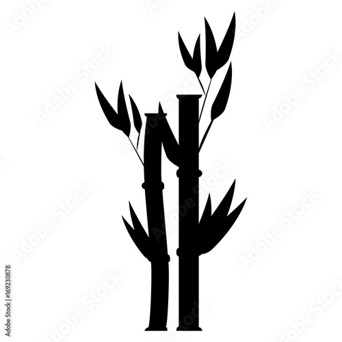 bamboo plant nature icon vector illustration design