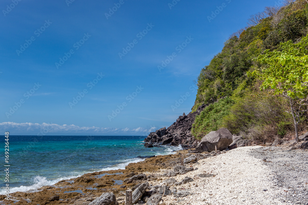Fototapeta premium Apo Island coast with green jungle and clear blue ocean waters under a sunny sky.