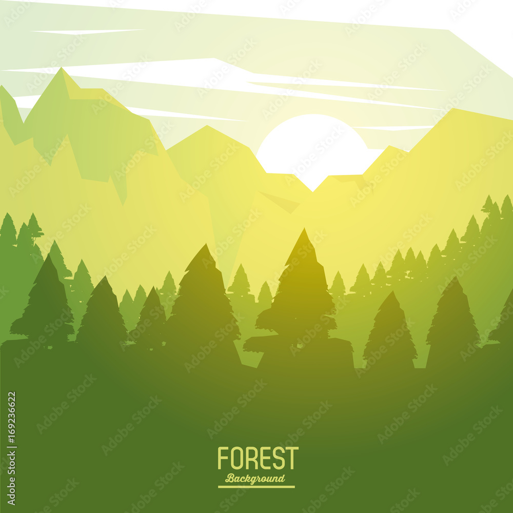 Obraz premium colorful poster forest background with sunrise landscape of forest with trees vector illustration